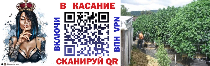 Наркошоп купить А ПВП  Бошки Шишки  Меф мяу мяу  Амфетамин  Гашиш  Палласовка