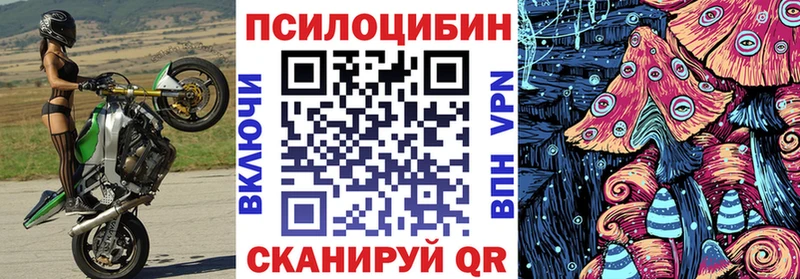 Купить  Палласовка  Галлюциногенные грибы прущие грибы 